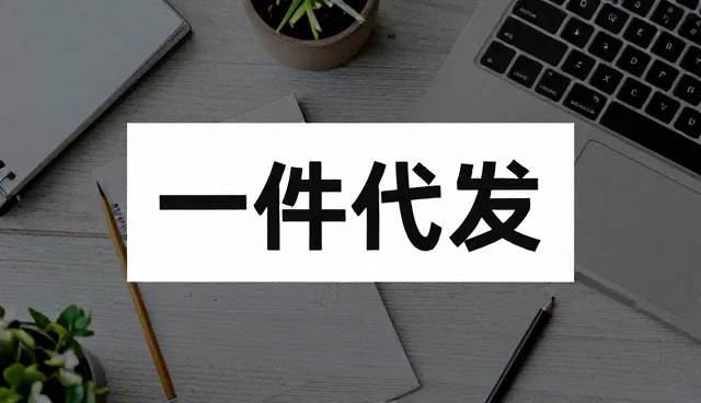 一件代发模式下仓储管理的实际应用与挑战